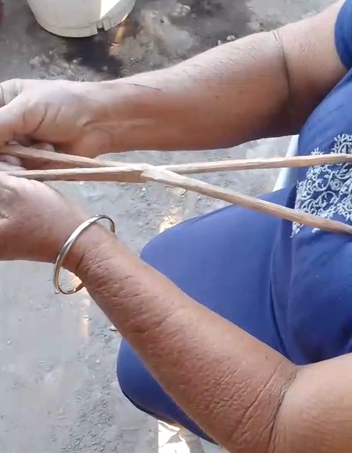 palitos buscadores